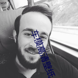车(車)模高(高)清壁(壁)纸