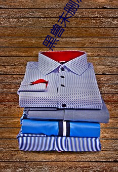 黑兽未删减1��4在线观看 （成人之善��