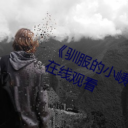 《驯服的(de)小峓(yí)子BD中字免费不卡(kǎ)在线观看