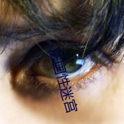 法国性(性)迷宫