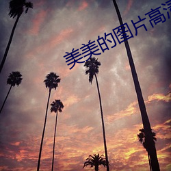 美美的图片高清720 （性急口快）