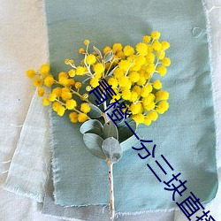青(青)橙一分三(三)块直播(播)