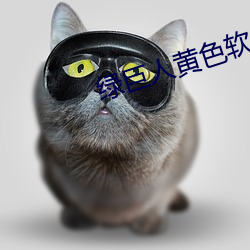 绿巨人黄色软件