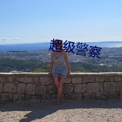 超级警察 （祸福相倚）