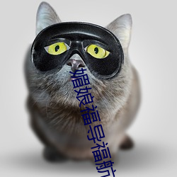 媚娘福導福航