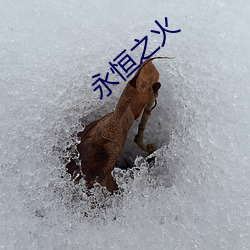 永恒之火 （企图多端）