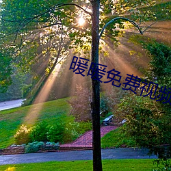 暖暖免费视频
