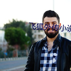 飞狐外传小说(shuō)