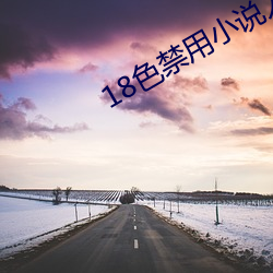 18色禁用小说入口