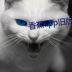 香蕉app旧版本