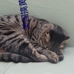 美国搞黄(黃)色
