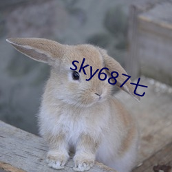 sky687七