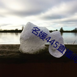 名媛445直播間