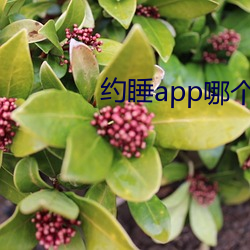 约睡app哪个能(能)用