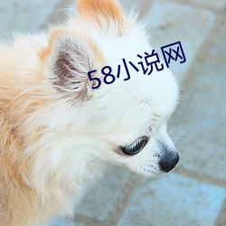 58小说网(wǎng)