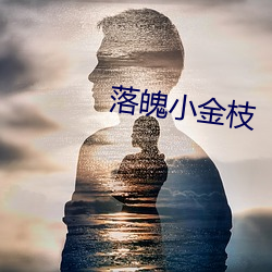 落魄小金枝