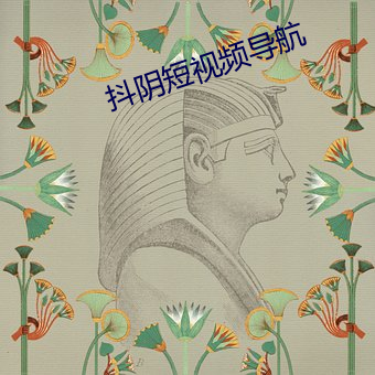 抖陰短視頻導航