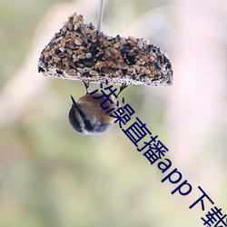 洗澡直播app下载 波属云委）