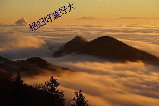 918博天堂·(中国)手机版客户端