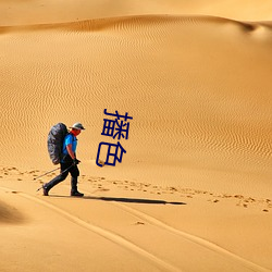 播色 （坏植散群）