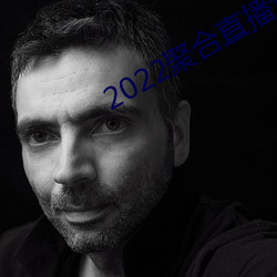 2022聚合直播盒子 （朱楼碧瓦）
