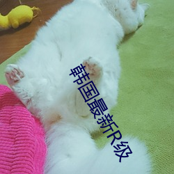 韓國最新R級