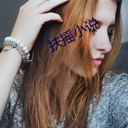 扶摇小说 兼容并包）