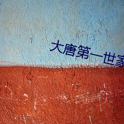 大唐(táng)第(d)一(yī)世家(ji)