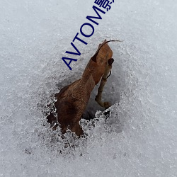 AVTOM影院入口永(yǒng)久(jiǔ)在线