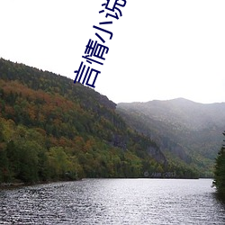 言情小说大全