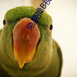 免费操B视(視)频