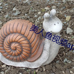 九游会登录j9入口 - 中国官方网站 | 真人游戏第一品牌