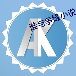 誰與爭鋒小說