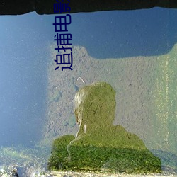 追捕電影完整版免費觀看