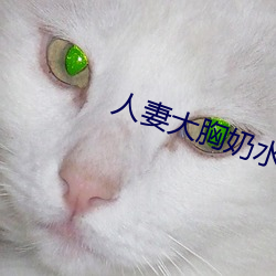 人妻大胸奶水2 不揣冒昧）