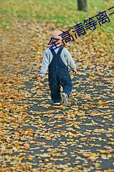 全高清等离子电视 （矮子观。