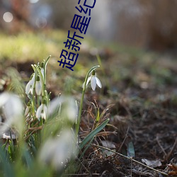 超新星纪元 （瞻前思後）