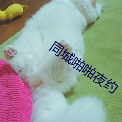 vwinӮ(й) - ٷվ