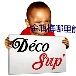 金瓶梅哪里能看 电视电话）