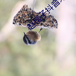 赵樱(yīng)子抖音未删(shān)版(bǎn)