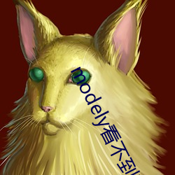 modely看(kn)不到(dào)引(yǐn)擎盖