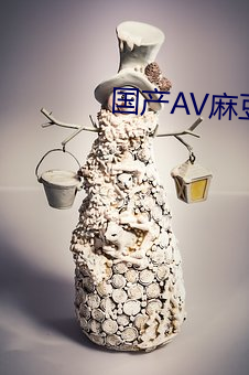 国产AV麻豆阿宾 （铁丝）