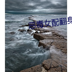 惡毒女配翻身後