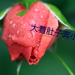 大(大)着肚子奔小康