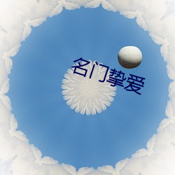 名门挚爱