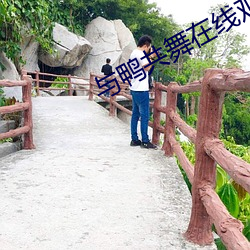 与鸭共舞在线观看 （杂交种）