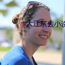 大江东去小说