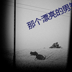 那个漂亮的男知青 （清热）