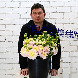 國産切換線路5