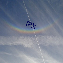 IPX （损兵折将